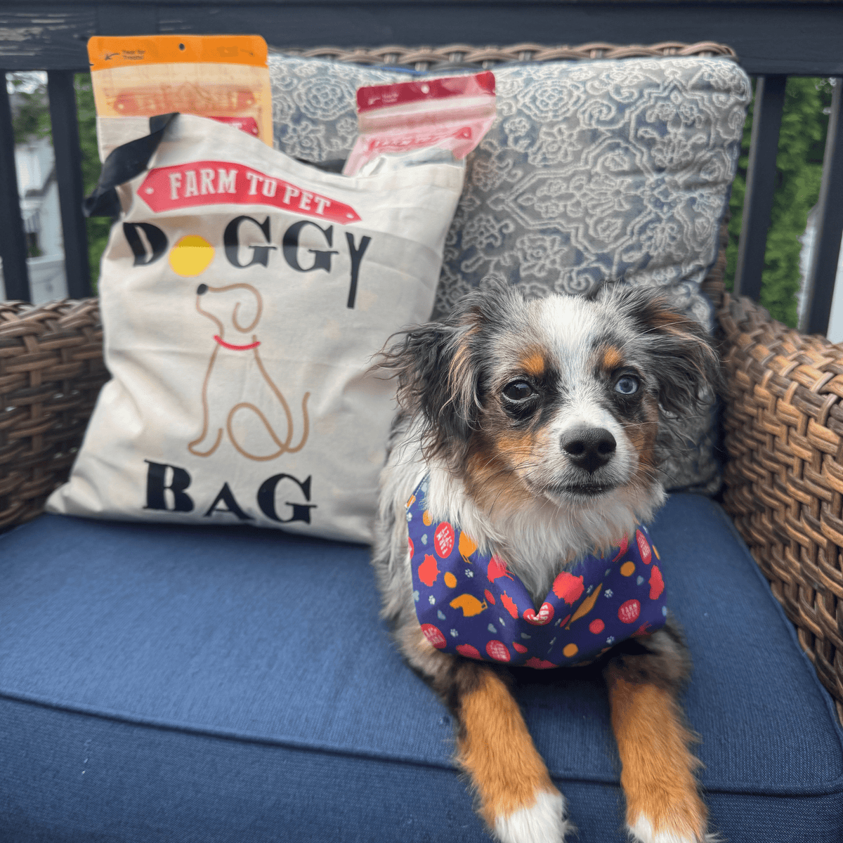 Farm To Pet Tote Bag | Paw-some Gift for Animal Lovers image 3