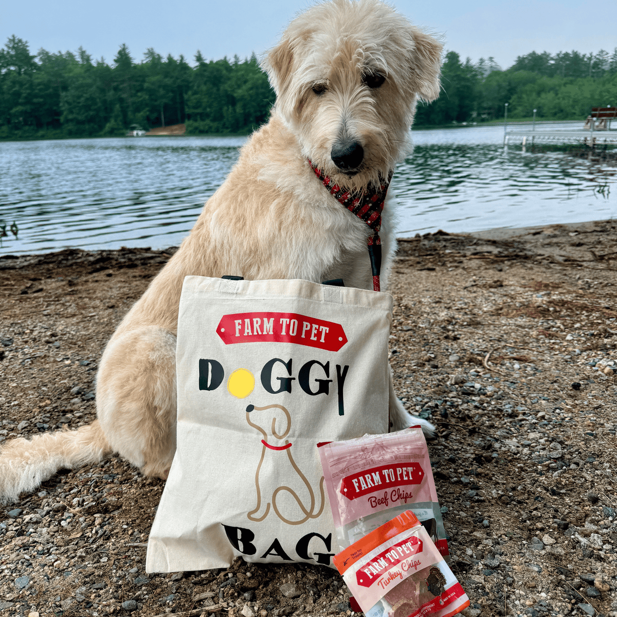 Farm To Pet Tote Bag | Paw-some Gift for Animal Lovers image 4