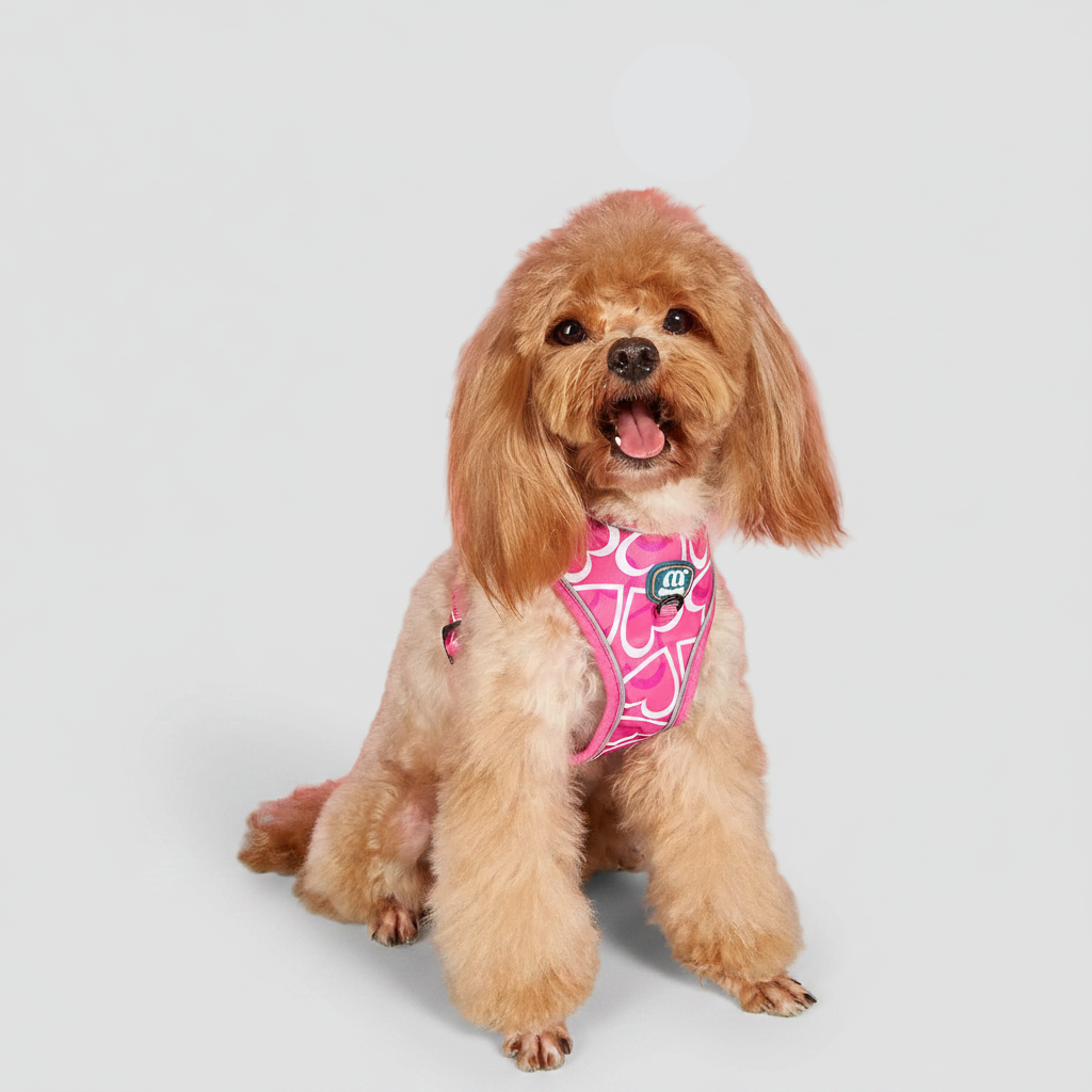 3-Piece Dog Harness & Leash Set image 7