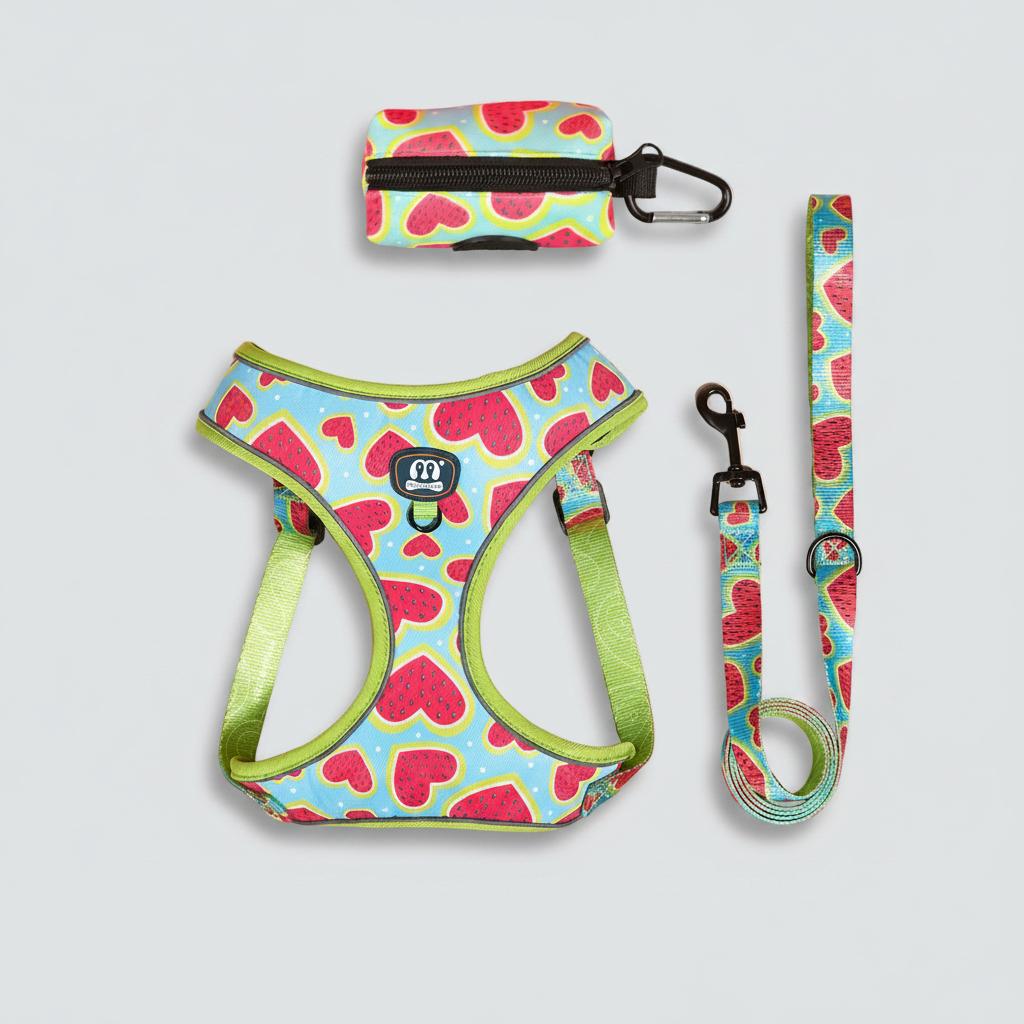 3-Piece Dog Harness & Leash Set image 2