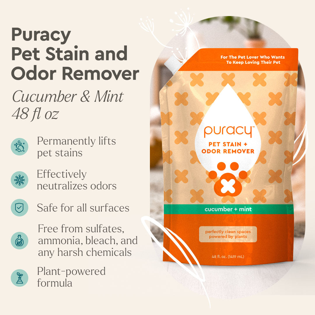 Pet Stain & Odor Remover image 12