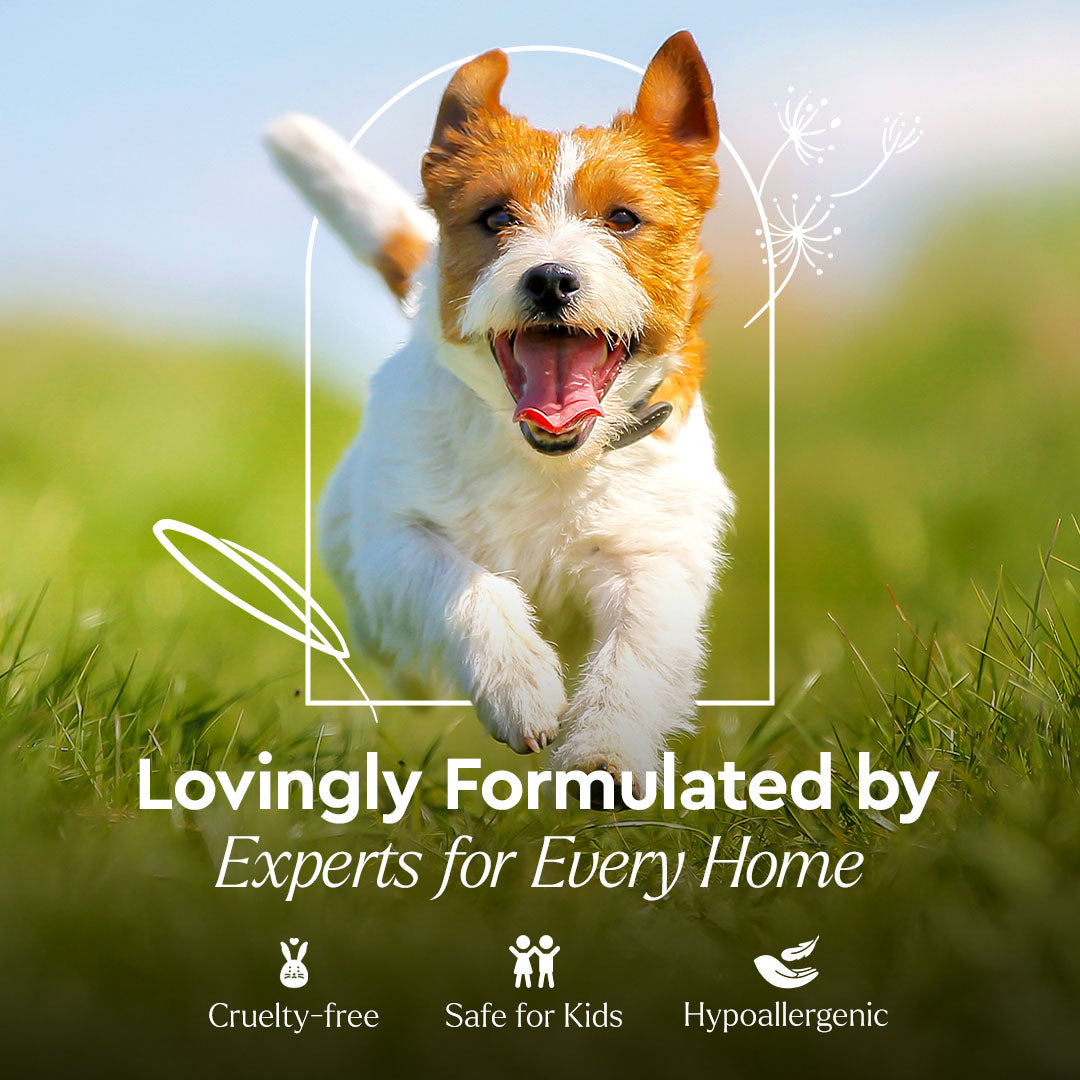 Pet Stain & Odor Remover image 10