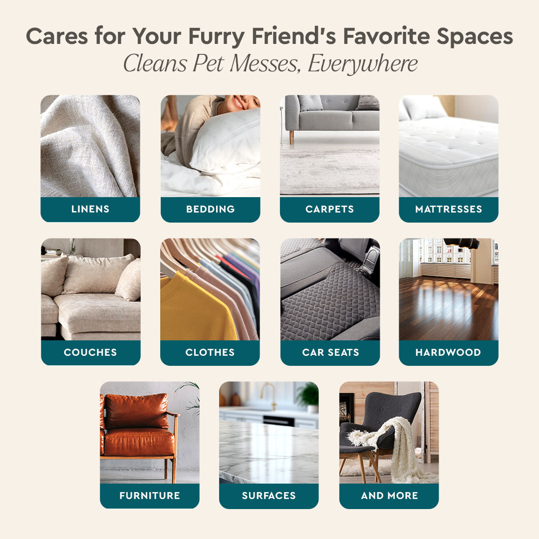 Pet Stain & Odor Remover image 14