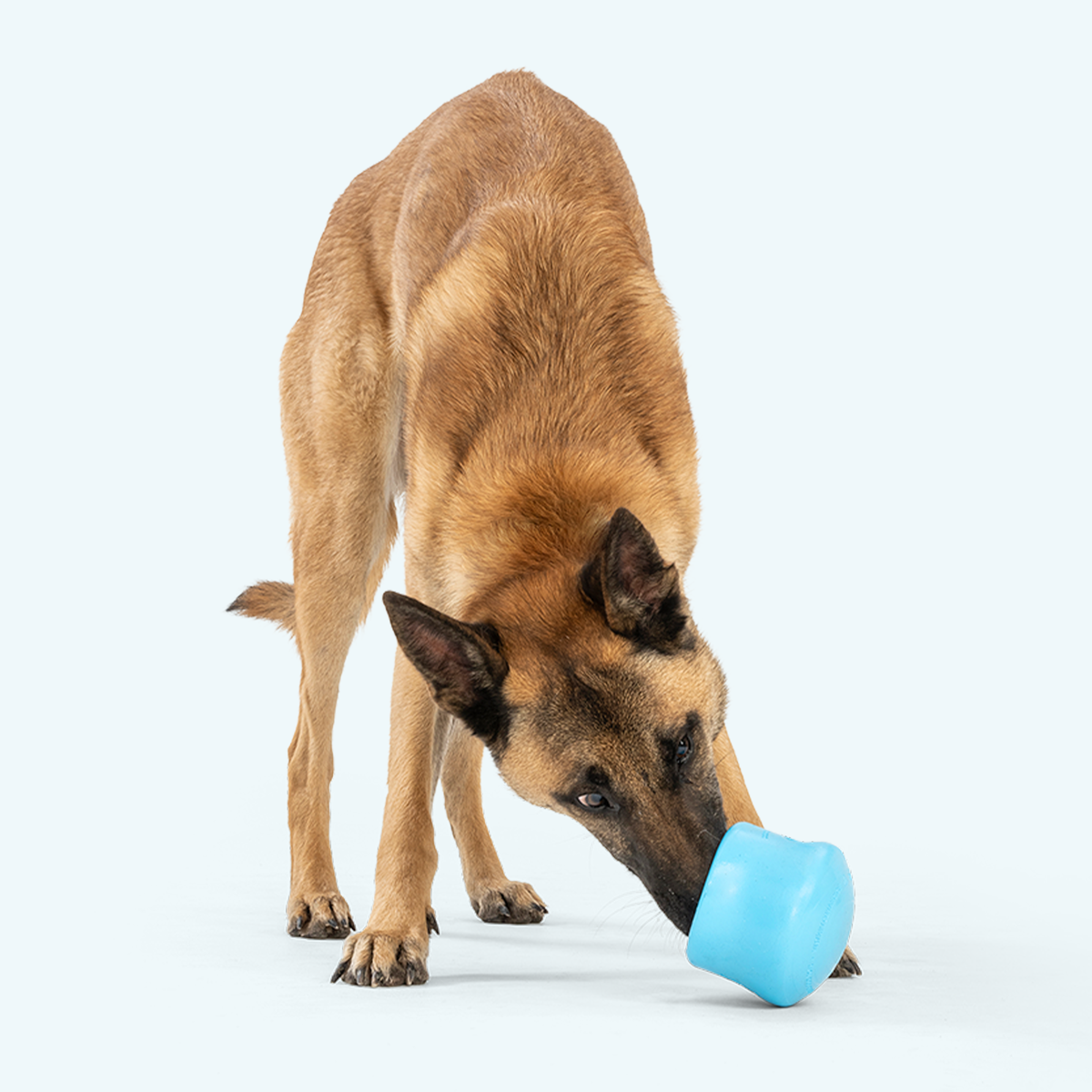 West Paw Toppl Dog Enrichment Toy image 5