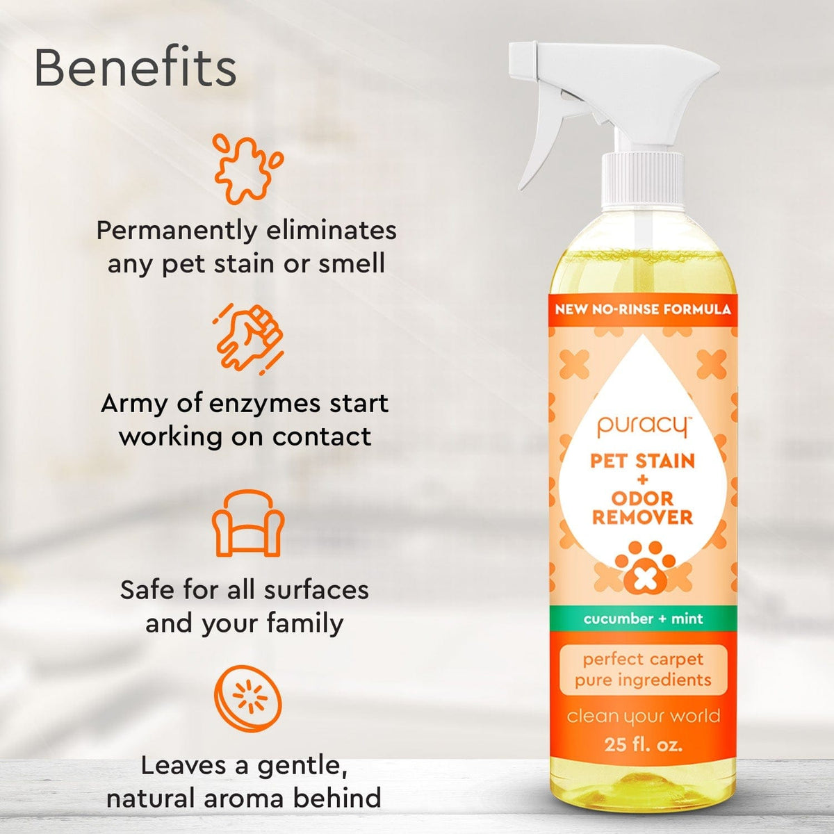 Pet Stain & Odor Remover image 4