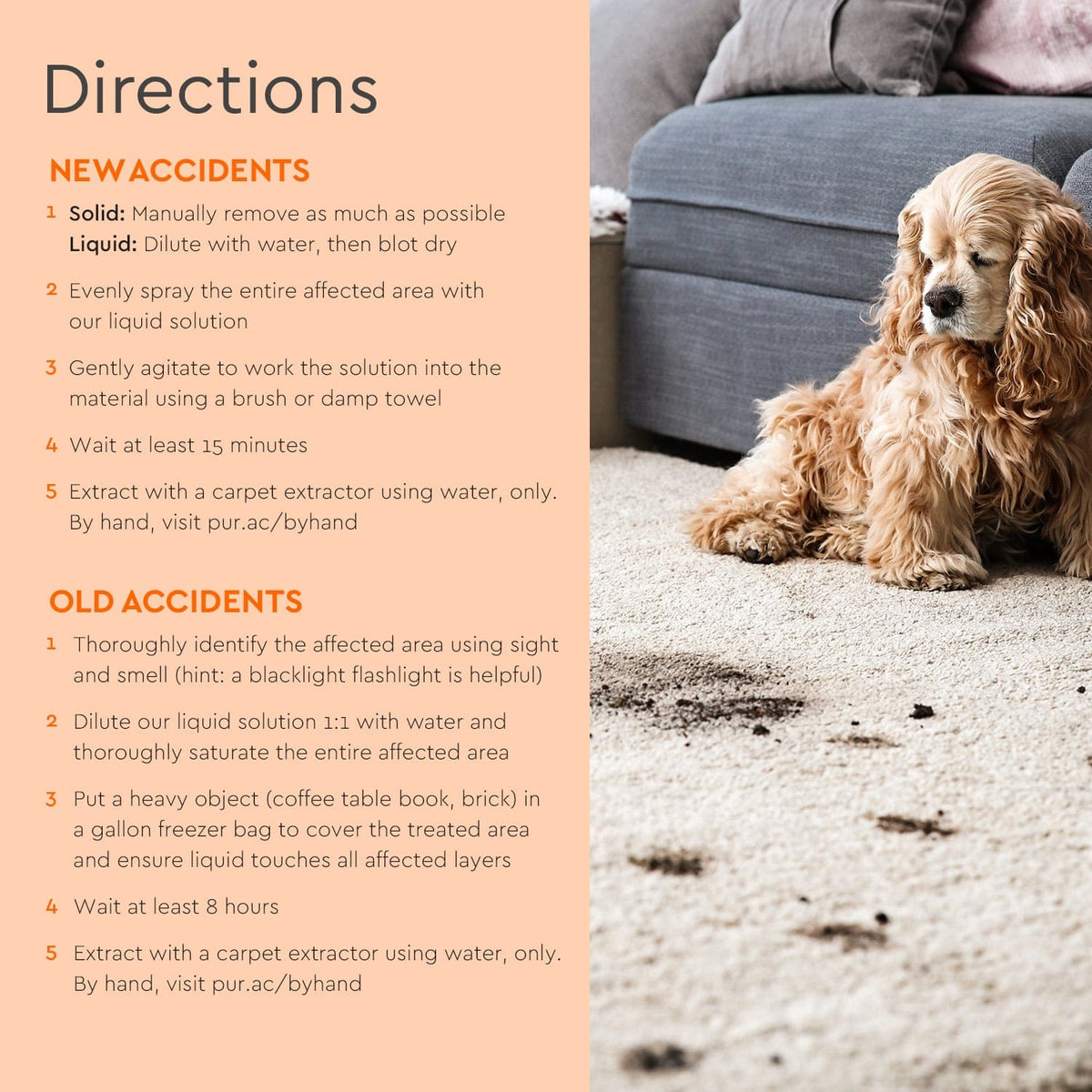 Pet Stain & Odor Remover image 5