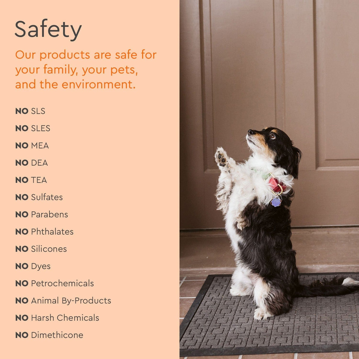 Pet Stain & Odor Remover image 8